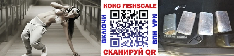 Кокаин FishScale  Купить  Каргополь 