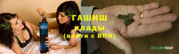 ПСИЛОЦИБИНОВЫЕ ГРИБЫ Няндома