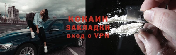 ПСИЛОЦИБИНОВЫЕ ГРИБЫ Няндома