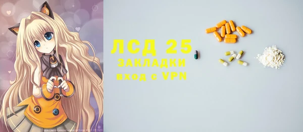 ПСИЛОЦИБИНОВЫЕ ГРИБЫ Няндома