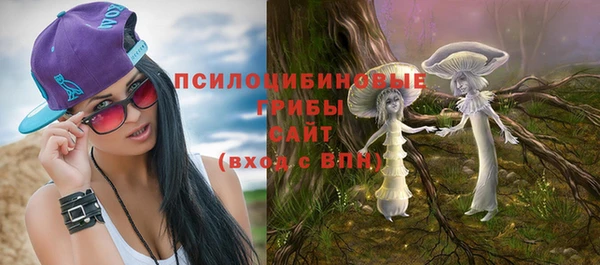 дмт Нязепетровск